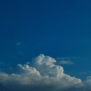 爱与不爱皆自由