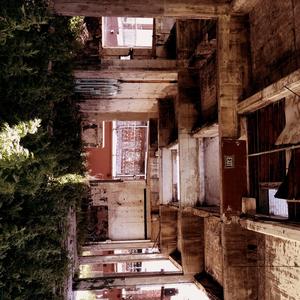 learning the customs