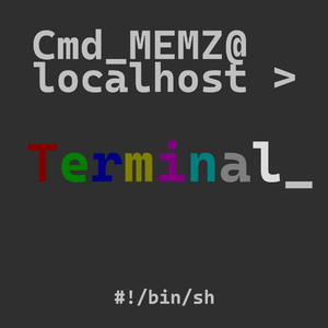 Terminal