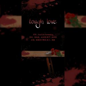 Tough Love【后妈茶话会】（翻自 pattyCake Productions）