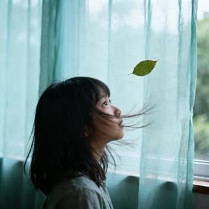 慢半拍的风