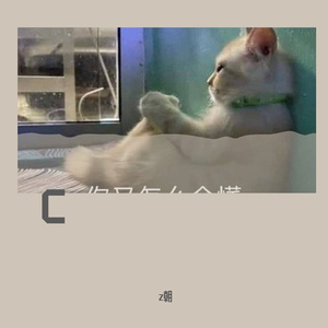 TIGAzzzc（z朝 remix）