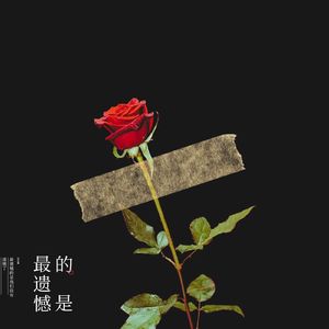 最遗憾的是（纯伴奏）