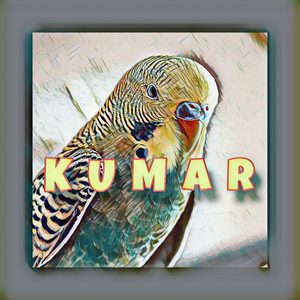 Kumar