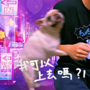 我可以上去嗎？