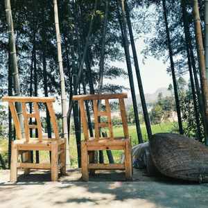 夜盲症（Cover 蔡健雅）