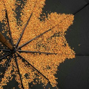 回忆总是最难忘的（0.8）