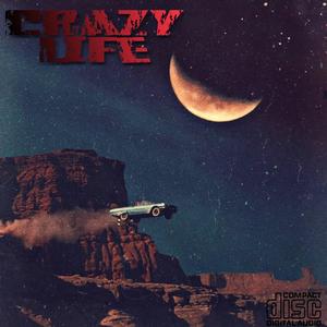Crazy Life