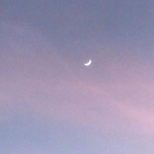 You Don't Trust Me At All