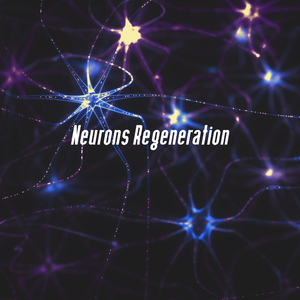 Calm & Peace (Ocean Beach)