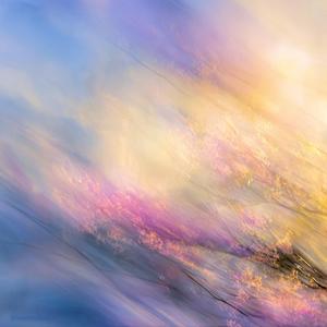 答えのいらない季節 (feat. shinrei)