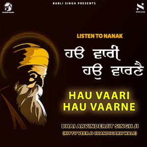 Hum Avgunaare Tu Sun Pyaare