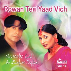 Mere Bapu Nu Hogayan Khabran