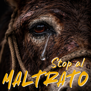 Stop al Maltrato
