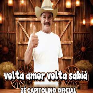 Volta Amor Volta Sabiá