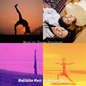 Refined Shakuhachi and Harps - Vibe for Prana