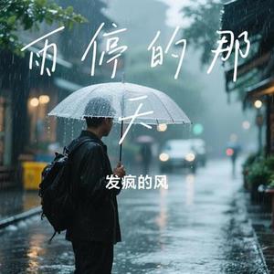 雨停的那天