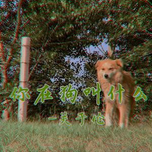 你在狗叫什么