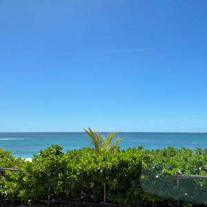 먼 곳에 (숲소리 Ver.)