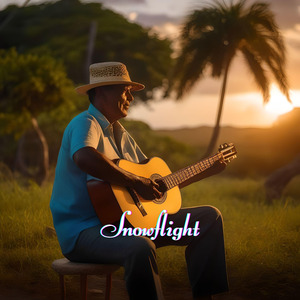 Snowflight (Cover)