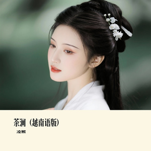 茶涧（越南语版）