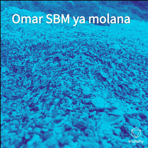 Omar SBM ya molana