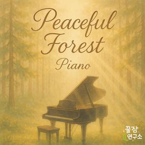 모먼트(힐링피아노연주곡)