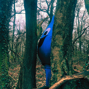 Brève histoire d'une goutte de pluie