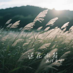 还在冰箱