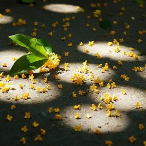 最美的年华 伴奏