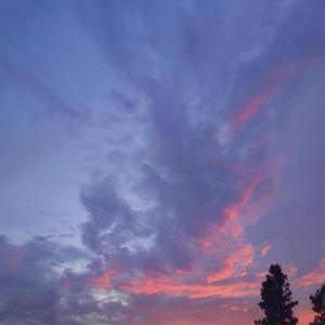 祝你爱我到天荒地老