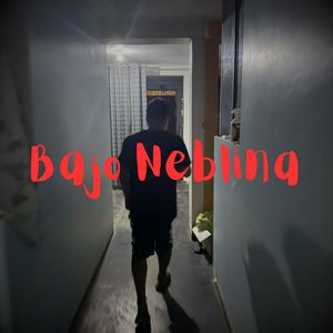 Bajo Neblina