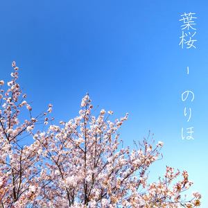 葉桜