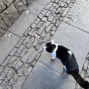 来年后·少年(Multi-edition collection)