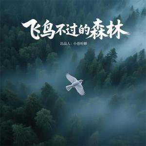 飞鸟不过的森林