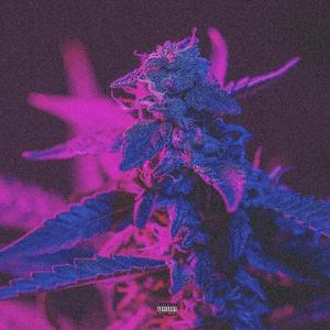 Purple Rain (feat. Sound Monga & Sire Troy)