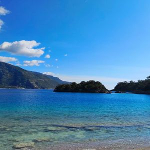 Mountains and Seas 山海经