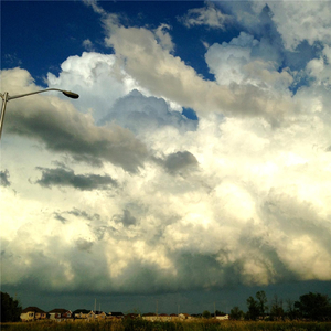 Pink Unicorn (Bonus Track)