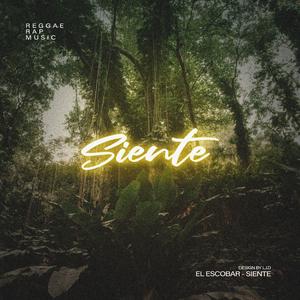 Siente (feat. Lost In Diggin')