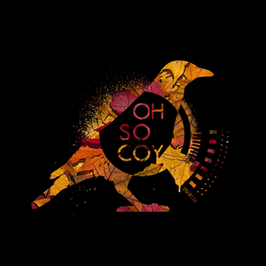 Beutool Idea (H@K Remix)