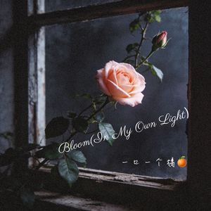 Bloom(In My Own Light）