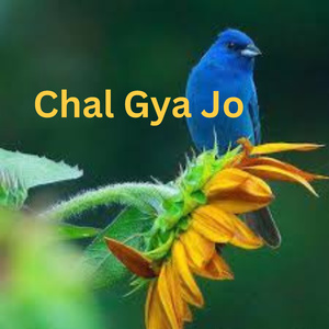 Chal Gaya Jo