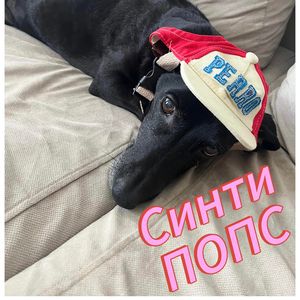 Синие глаза