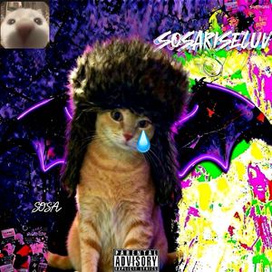 再也不会流眼泪