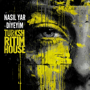 Nasıl Yar Diyeyim
