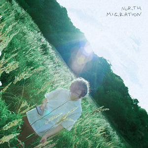 стервятник