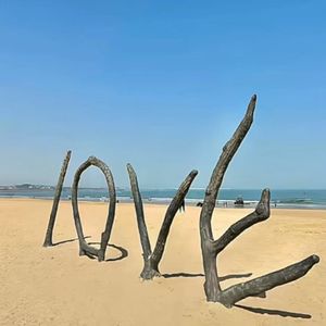 《锈蚀的雨刮器》