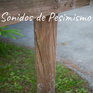 Mujer santa