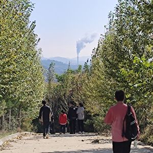 四姐之歌（Prod.By Lisure）