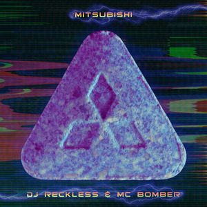 Home Party Destruction Service